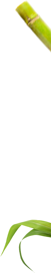 ltx-parallax-layer